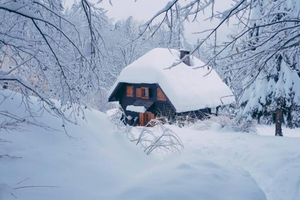 Cottage In The Woods - Lake ボーヒニ エクステリア 写真