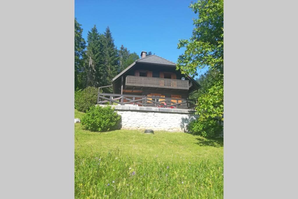 Cottage In The Woods - Lake ボーヒニ エクステリア 写真