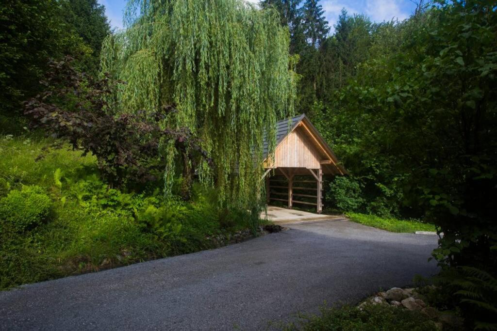 Cottage In The Woods - Lake ボーヒニ エクステリア 写真